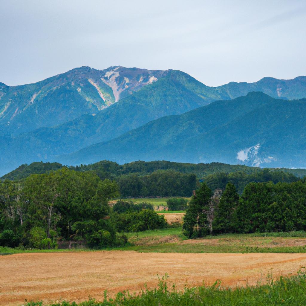 長野県の方が在宅で働きやすい理由